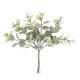 6 BRANCHES D EUCALYPTUS VERT