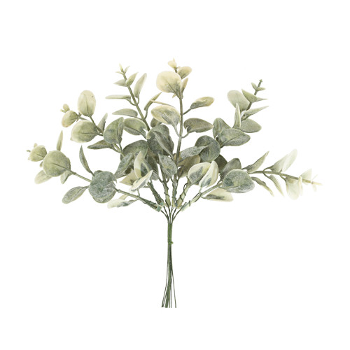 6 BRANCHES D EUCALYPTUS VERT