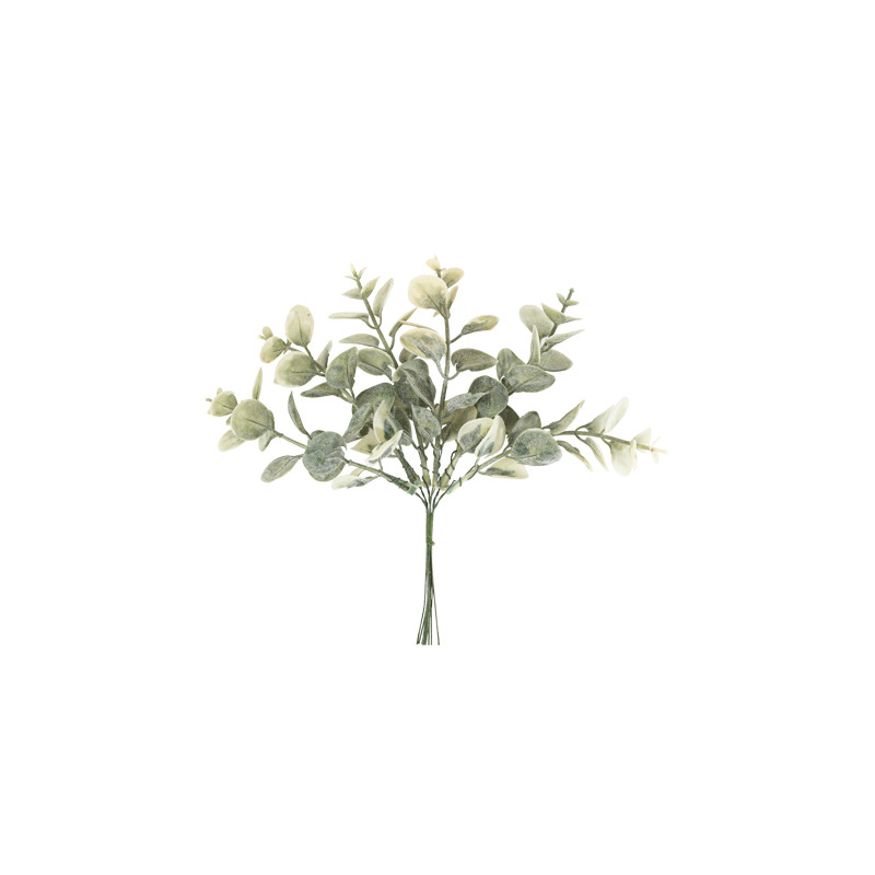 6 BRANCHES D EUCALYPTUS VERT