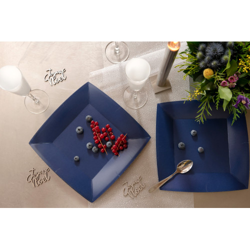 10 ASSIETTES GM CARRE BLEU