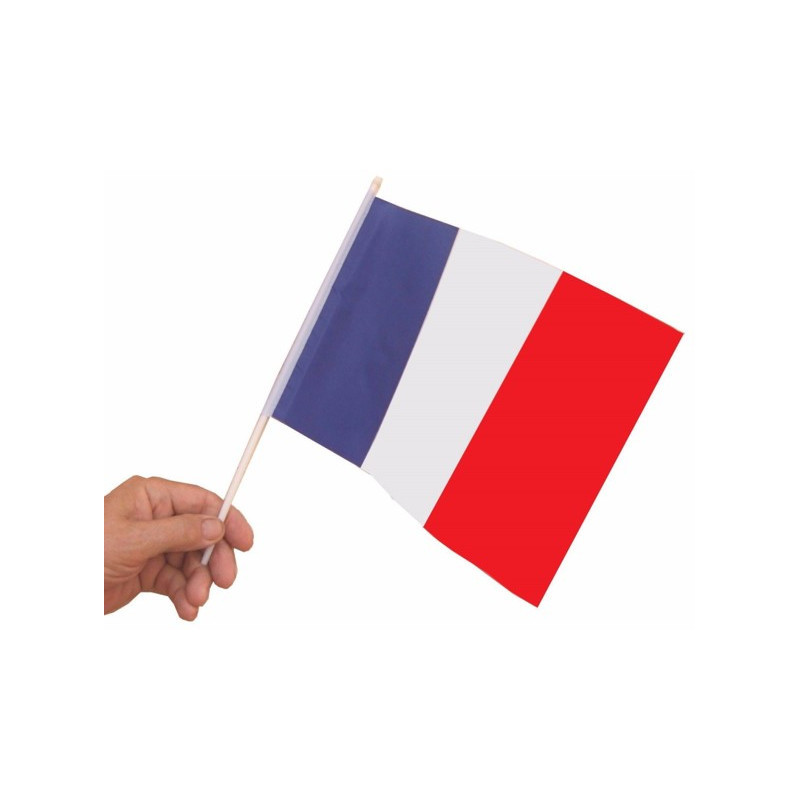 10 DRAPEAUX FRRANCE 20X30CM