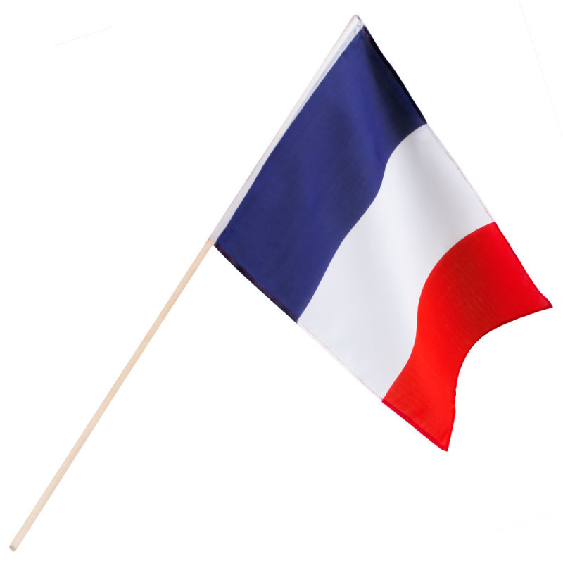 DRAPEAU FRANCE HAMPE 76CM