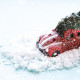 FAUSSE NEIGE - 74G