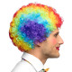 PERRUQUE CLOWN MULTICOLORE