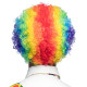 PERRUQUE CLOWN MULTICOLORE