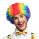PERRUQUE CLOWN MULTICOLORE