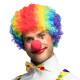 PERRUQUE CLOWN MULTICOLORE