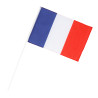 DRAPEAU MAIN FRANCE