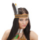 12 PLUMES INDIENNES