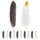 12 PLUMES INDIENNES