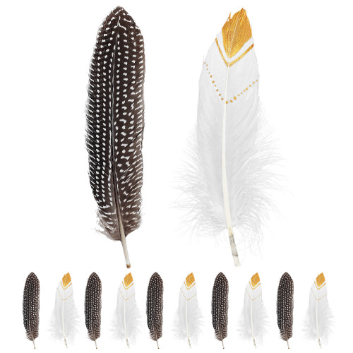 12 PLUMES INDIENNES