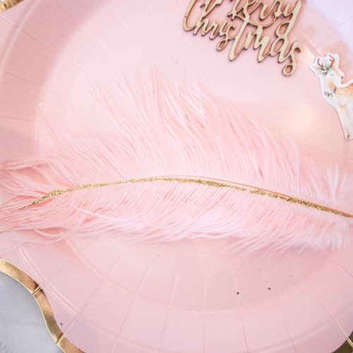 6 PLUMES ROSE/PAILLETTES OR
