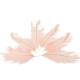 6 PLUMES ROSE/PAILLETTES OR