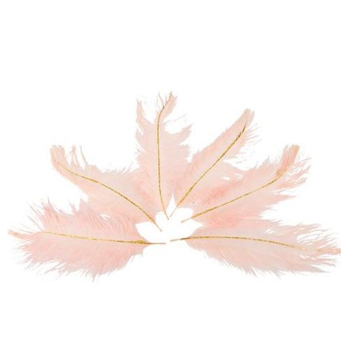 6 PLUMES ROSE/PAILLETTES OR