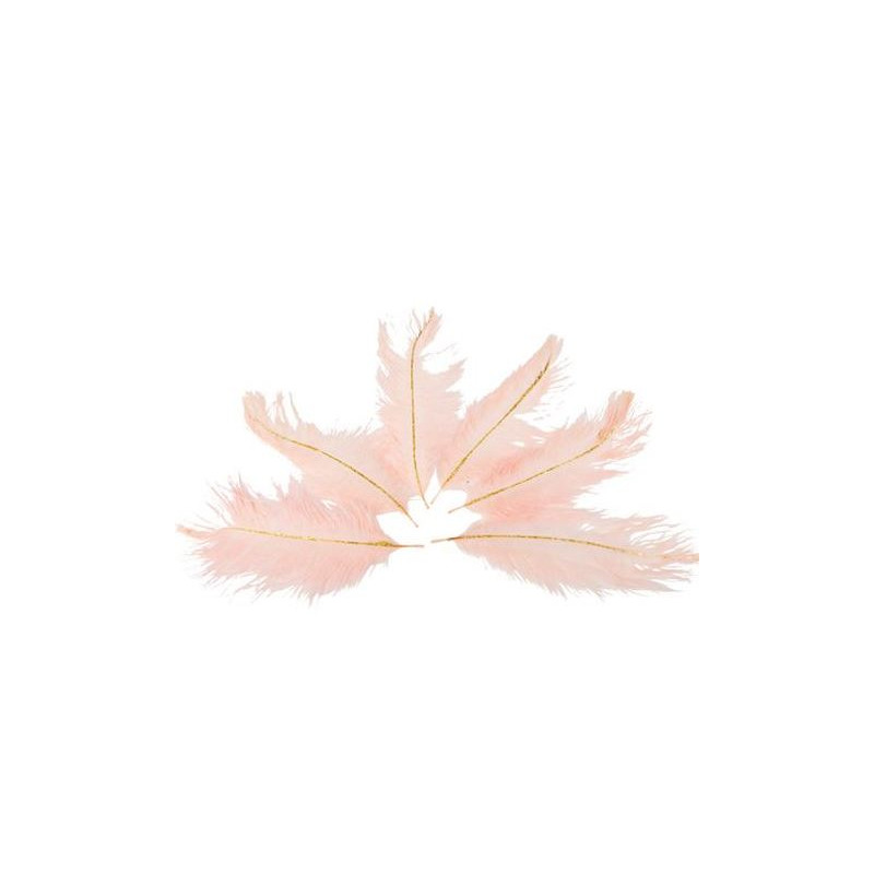 6 PLUMES ROSE/PAILLETTES OR