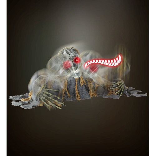 SQUELETTE ZOMBIE ANIME
