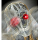 SQUELETTE ZOMBIE ANIME