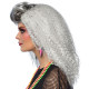 PERRUQUE 80'S QUEEN GRISE