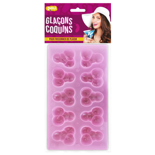 BAC A GLACON  COQUIN