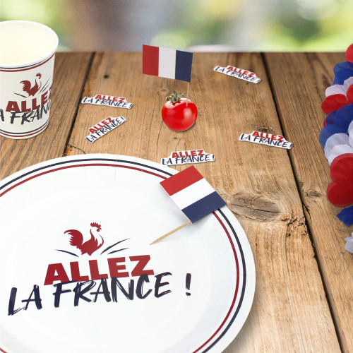 PICS DECO COCORICO "ALLEZ LA FRANCE"