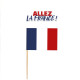 PICS DECO COCORICO "ALLEZ LA FRANCE"