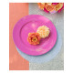 SS ASSIETTES PP FRAMBOISE