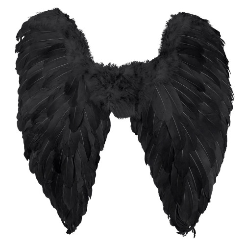 AILES D ANGE NOIRES 65X65CM