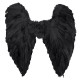 AILES D ANGE NOIRES 65X65CM