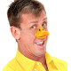 NEZ DE CANARD