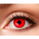 LENTILLE DEVIL PRIES 1 SEMAINE