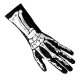 GANTS SQUELETTES XL