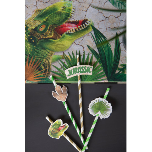 8 PAILLES DINOSAURE
