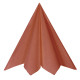 20 SERVIETTES RAINBOW BRIQUE