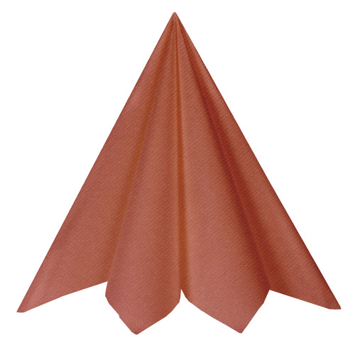 20 SERVIETTES RAINBOW BRIQUE