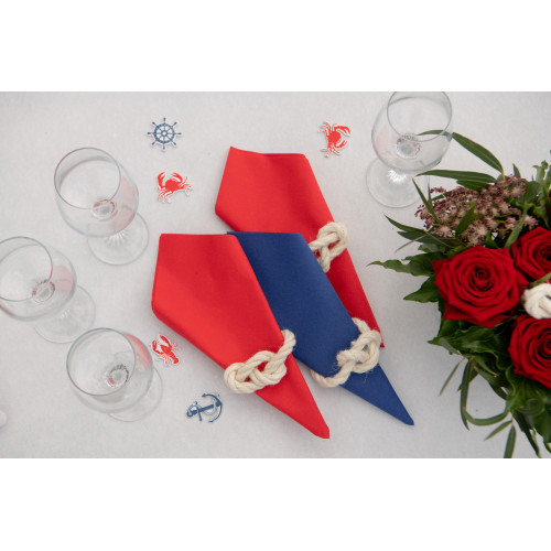 20 SERVIETTES RAINBOW ROUGE