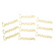 10 DECO COMMUNION PLEXI OR