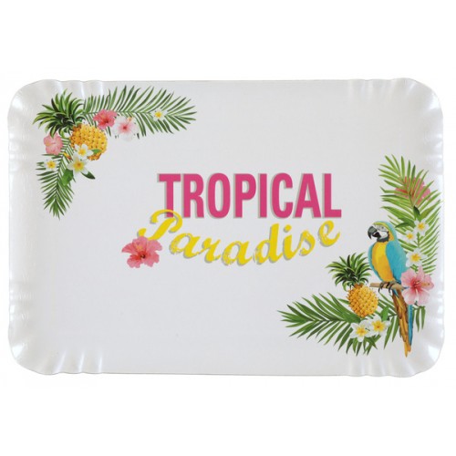 5 PLATEAUX RECTANGLES TROPICAL MULTICOLORES