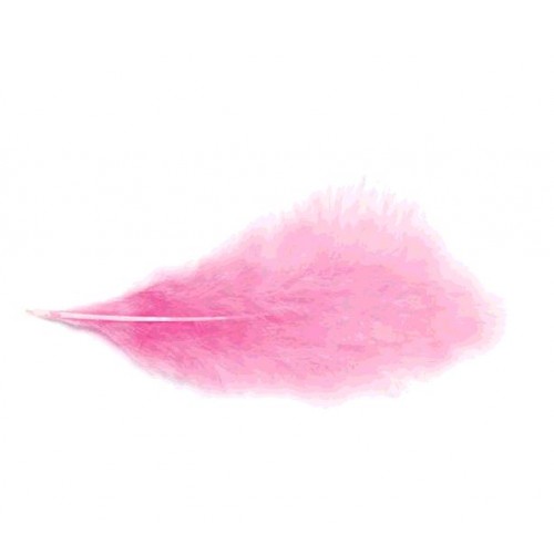 PLUMES 10G 5-10CM ROSE