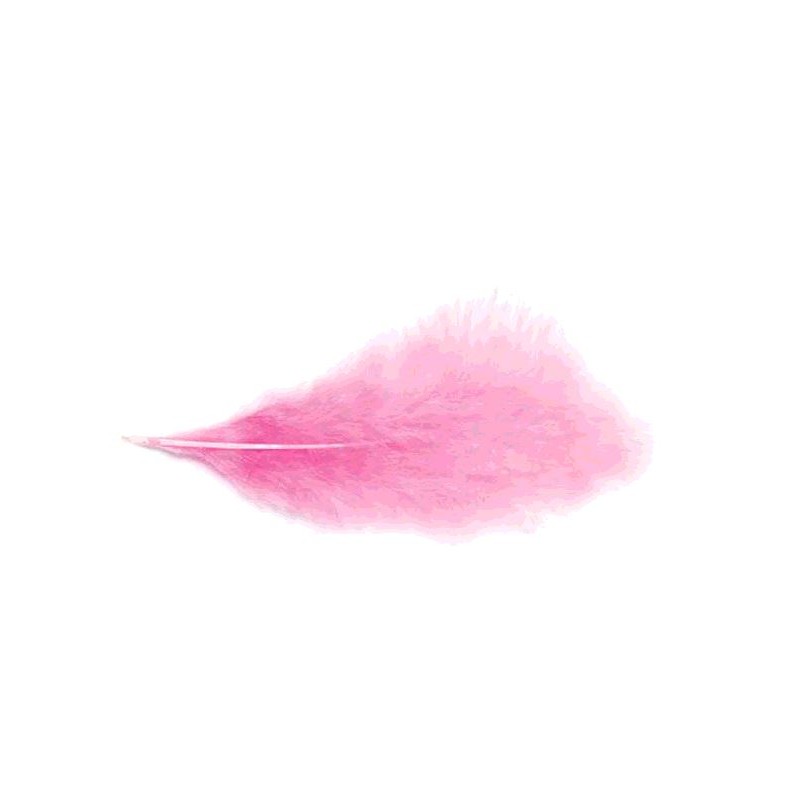 PLUMES 10G 5-10CM ROSE