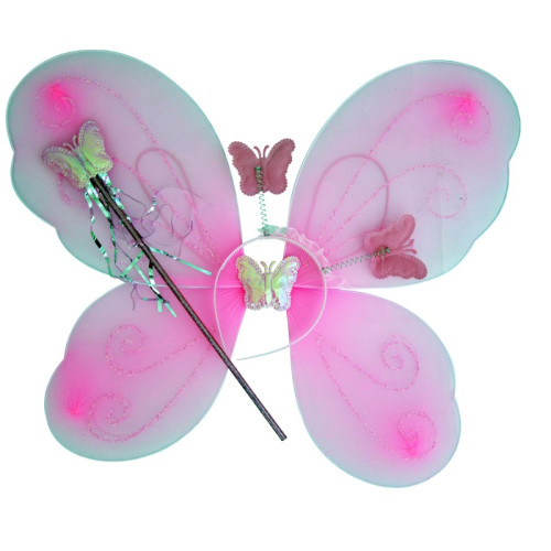 AILES DE FEE 50X40CM + ACC