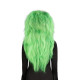 PERRUQUE SORCIERE VERT