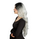 PERRUQUE SORCIERE GRIS OMBRE