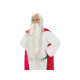 SET PERRUQUE+BARBE PANORAMIX