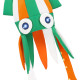 LED CHAPEAU PADDY