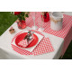 25 SERVIETTES VICHY 40X40CM