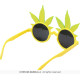 LUNETTES RASTA