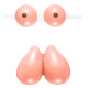 COUSSIN GONFLABLE SEINS+FESSES
