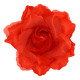 CLIP CHEVEUX ROSE ROUGE