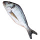 POISSON 55CM