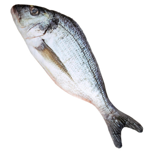 POISSON 55CM
